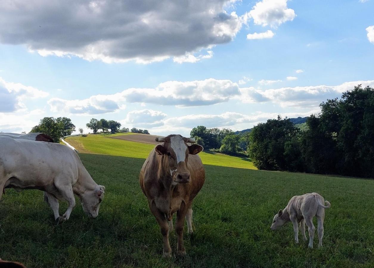 Gite Les Grands Chênes Monties Exterior foto