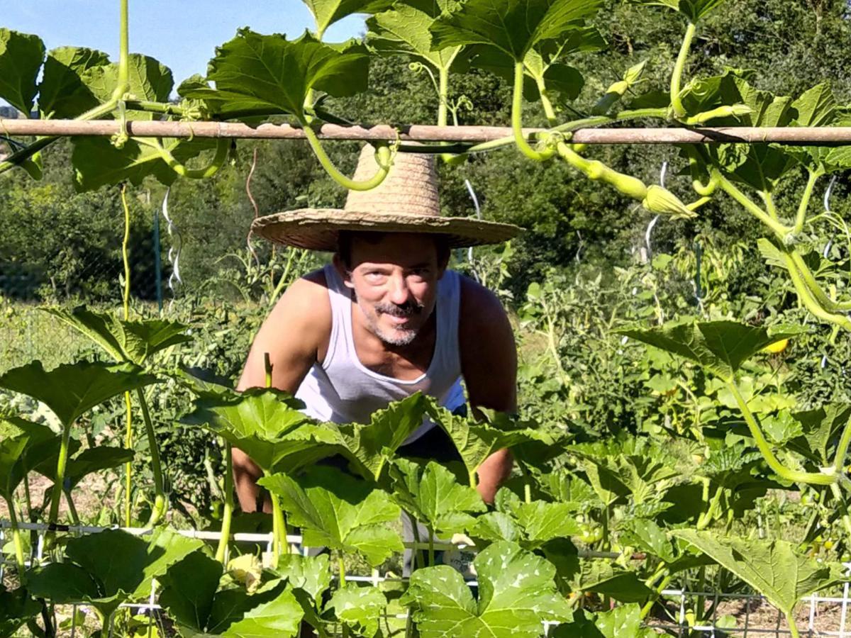 Gite Les Grands Chênes Monties Exterior foto
