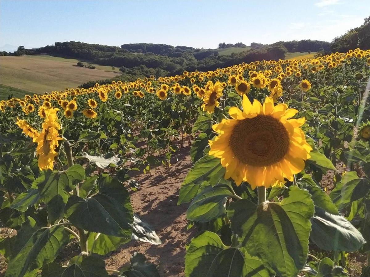 Gite Les Grands Chênes Monties Exterior foto